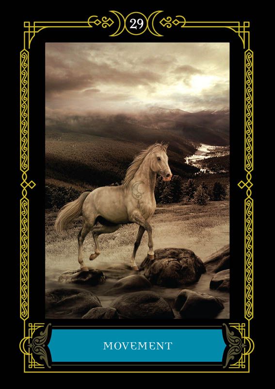 The Wisdom of te House of Night Oracle Cards1